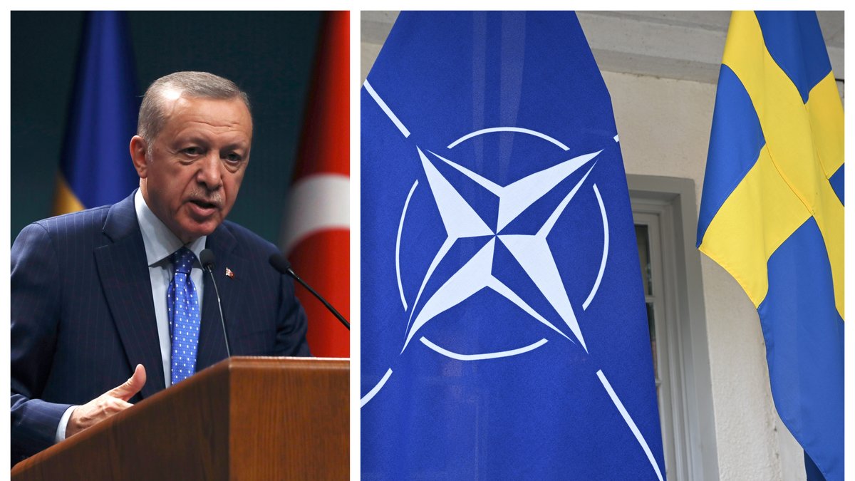 Hur har turerna i Nato-bråket med Turkiet, och Sveriges väg mot ett Nato-medlemskap, egentligen sett ut?